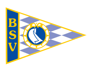 BSV Logo Kopie